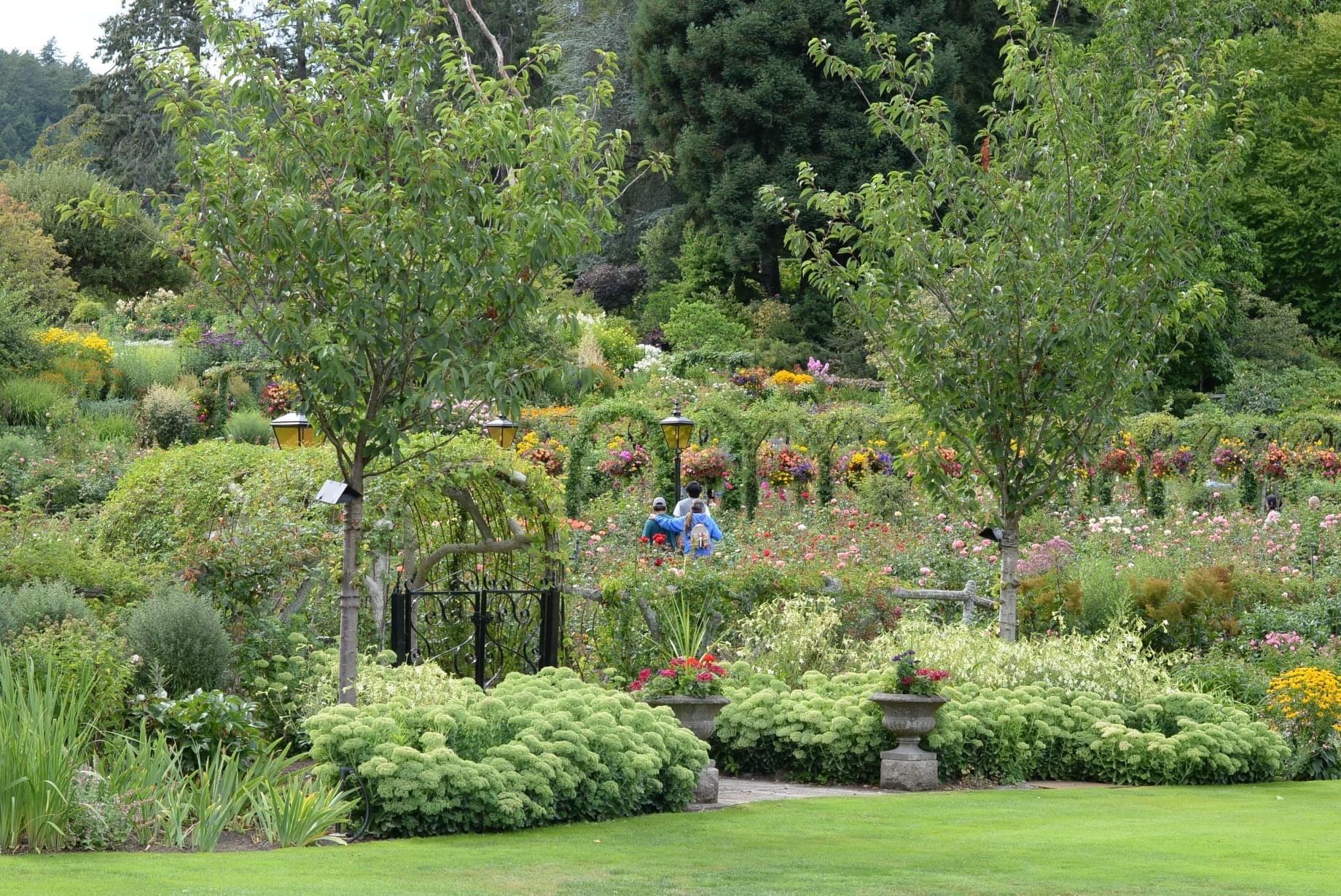 The Enchanting Arches Pathway features a long series of plant-covered arches