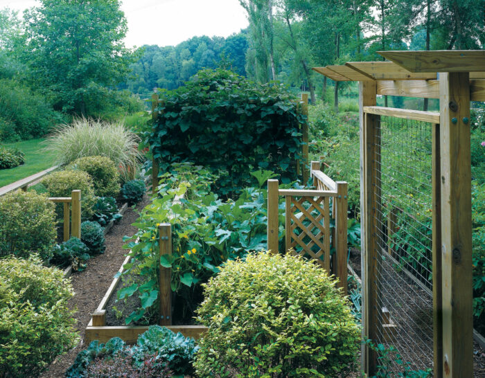 Looking for a little structure? At different heights and configurations, lattice trellises and fences make this vegetable patch feel like a series of rooms. The framed supports also help get vining veggies off the ground.