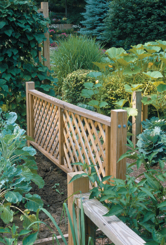 It’s functional and good-looking. Short panels serve as garden partitions and supports for climbing squash.