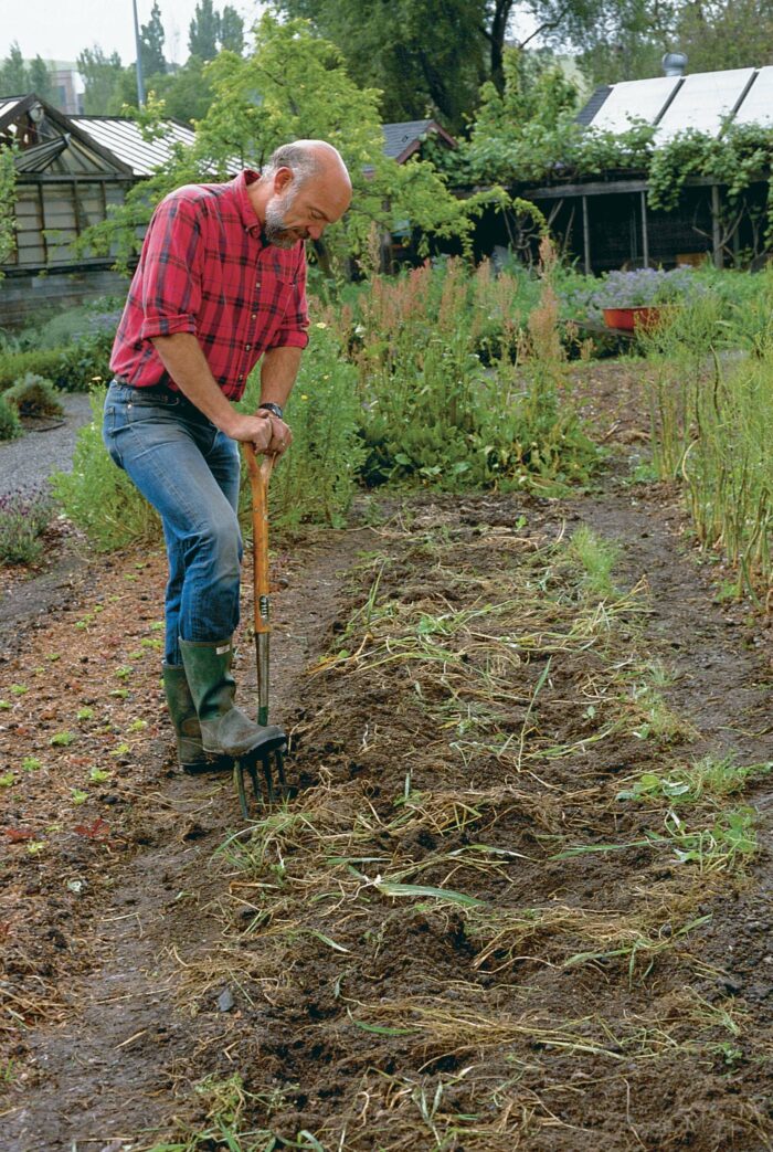 Loosen the soil for stronger roots. By thrusting a digging fork as deep as you can, then working it back and forth, you’ll allow roots to pene­trate the soil more easily.