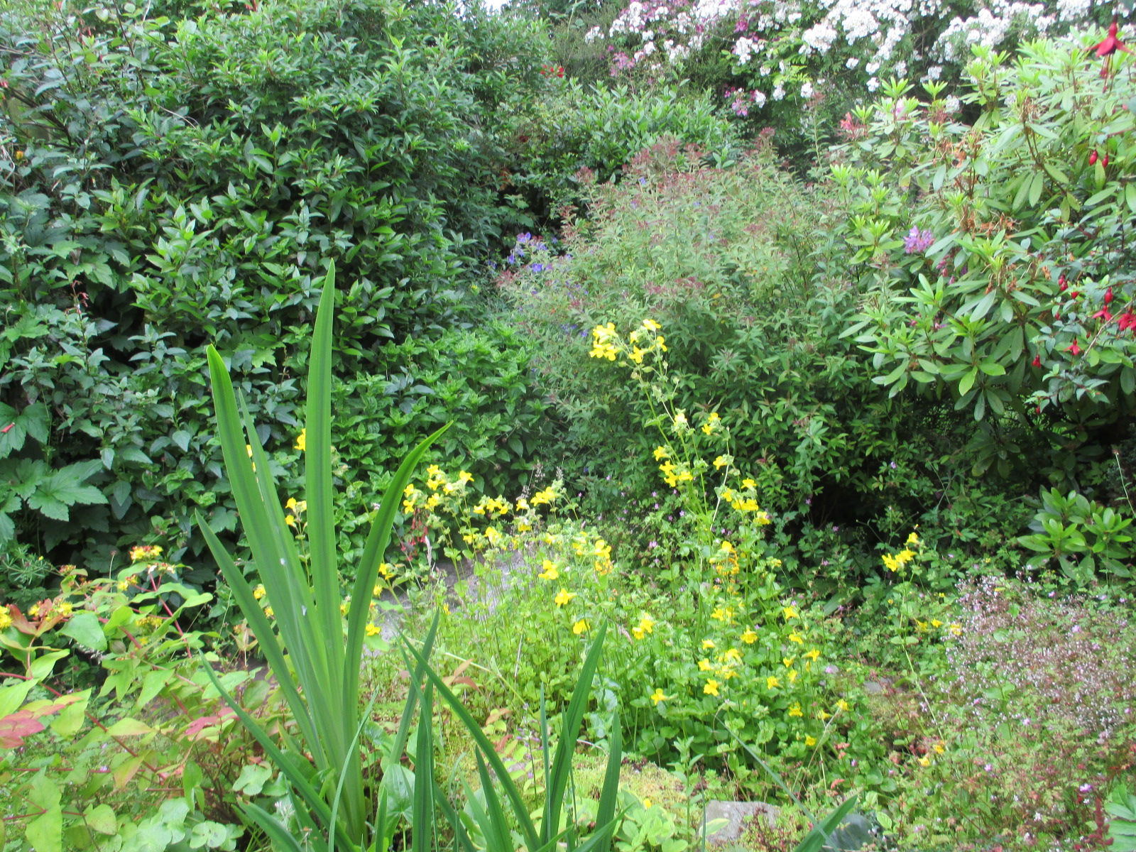 Later in the season, the garden is lush and full of green.