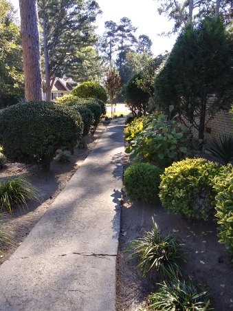 front steps and looking down the walkway at the different shapes and textures.