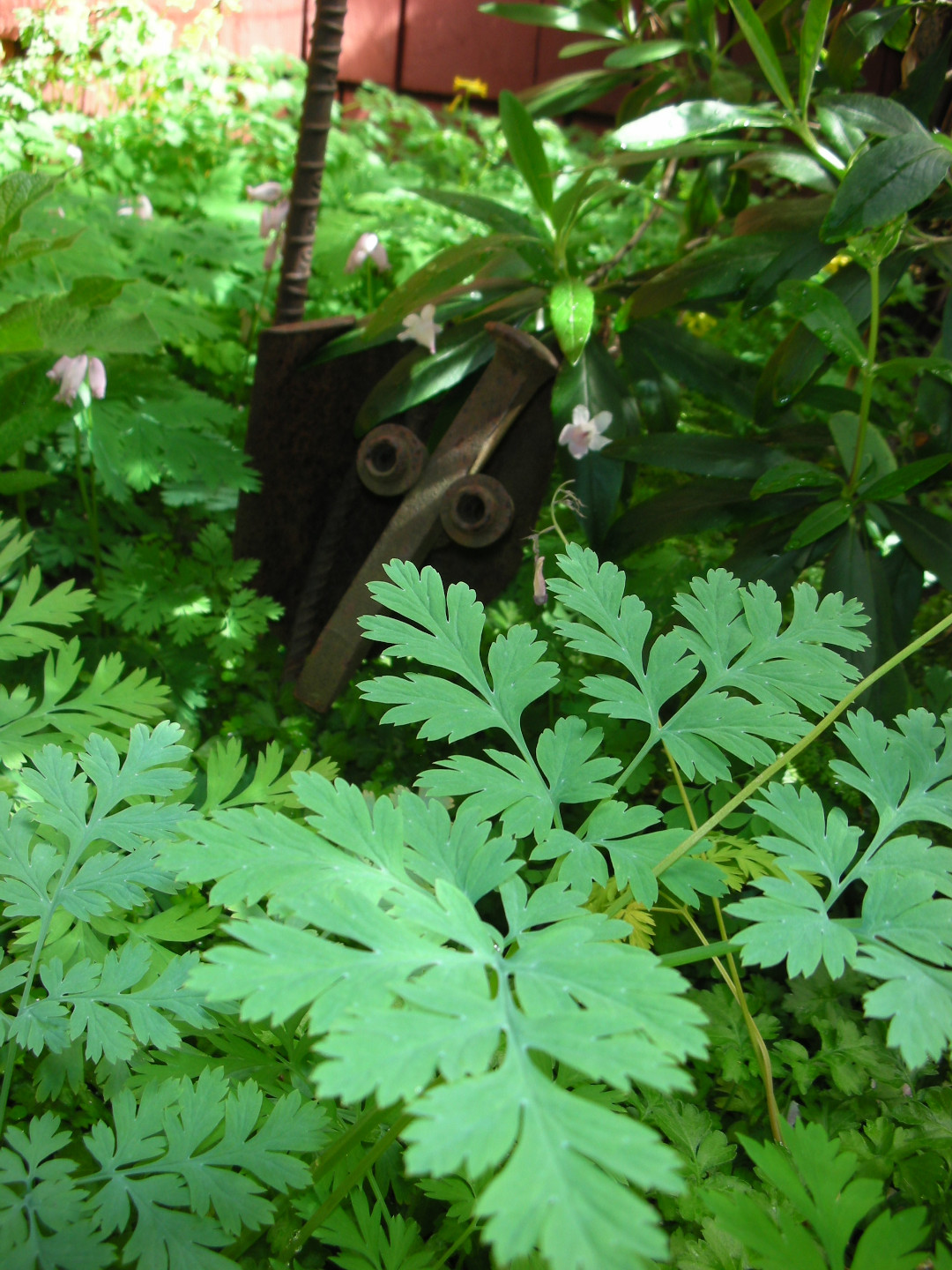 The face of a piece of garden art is hidden among the leaves.