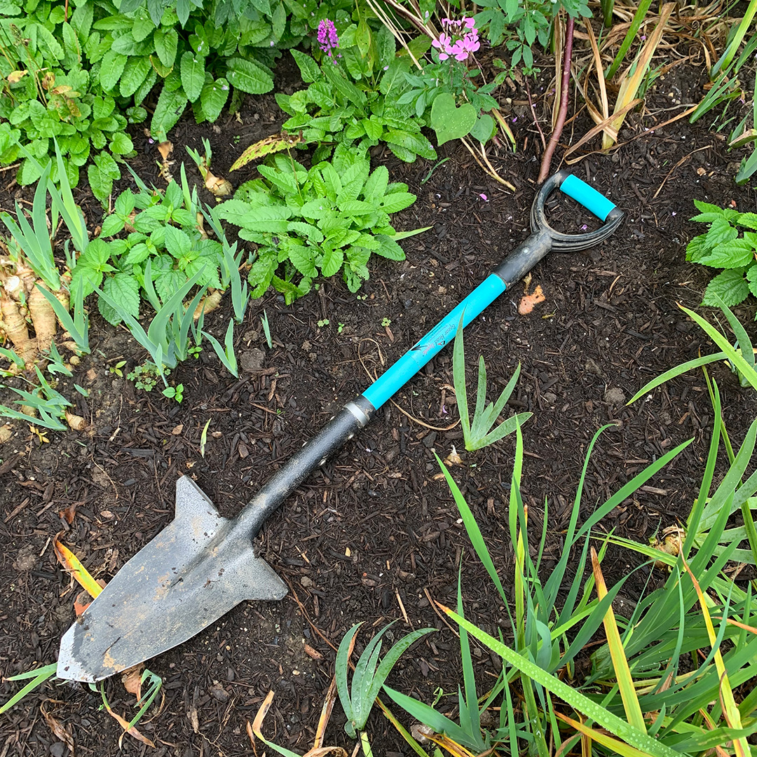 Bow Rake with Forged Steel Head and Fiberglass Handle by A.M. Leonard