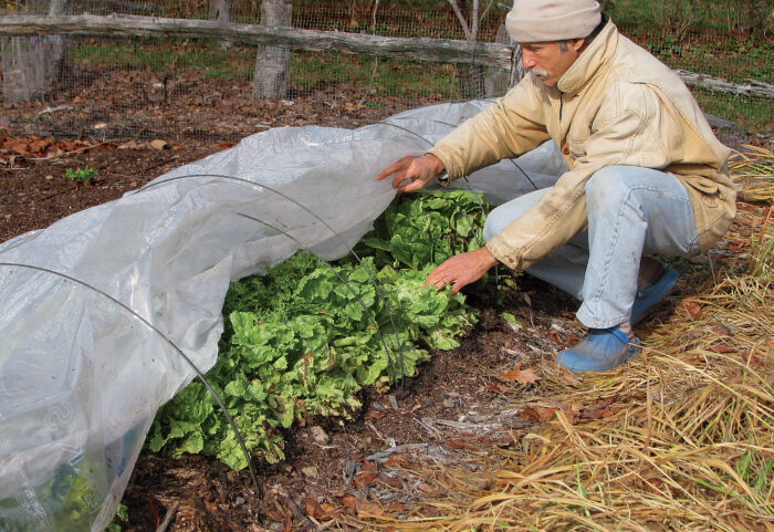 a man placing row covers on his small space garden