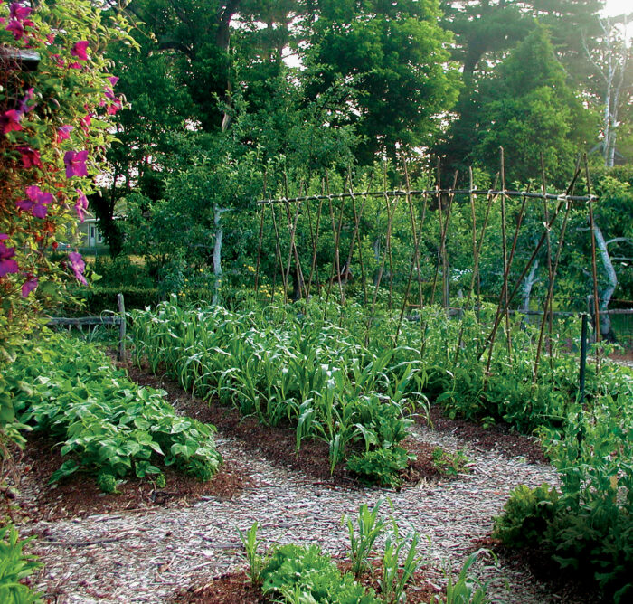 small space garden