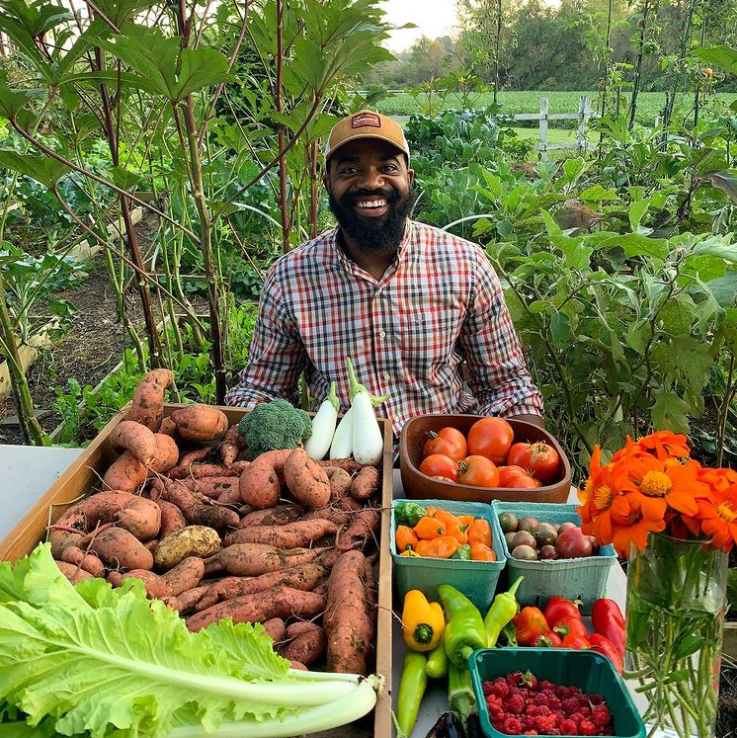 Sweet potatoes and other goodies from the summer garden