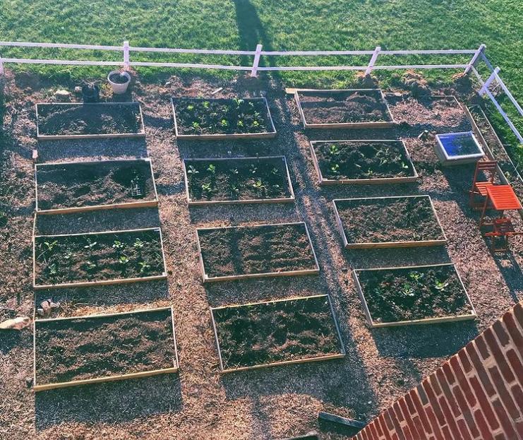 A view of the twelve 6-foot by 3-foot garden beds from above