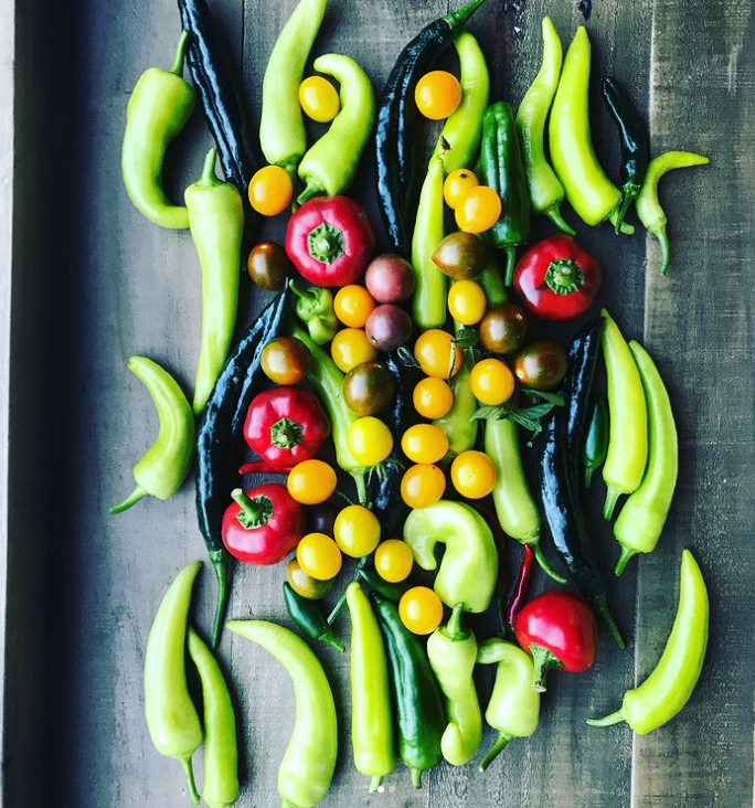 a harvest of peppers and cherry tomatoes