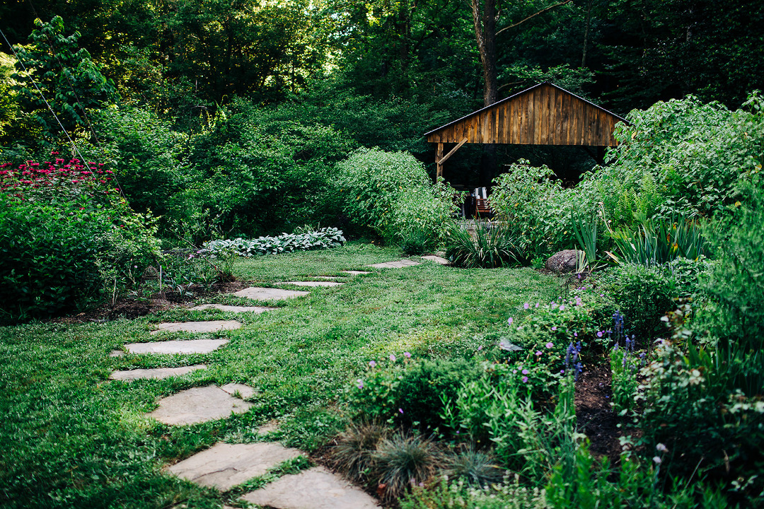 the back garden