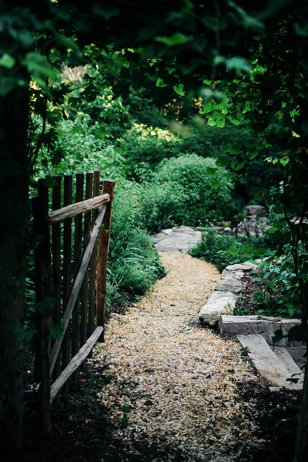 path leading to the garden