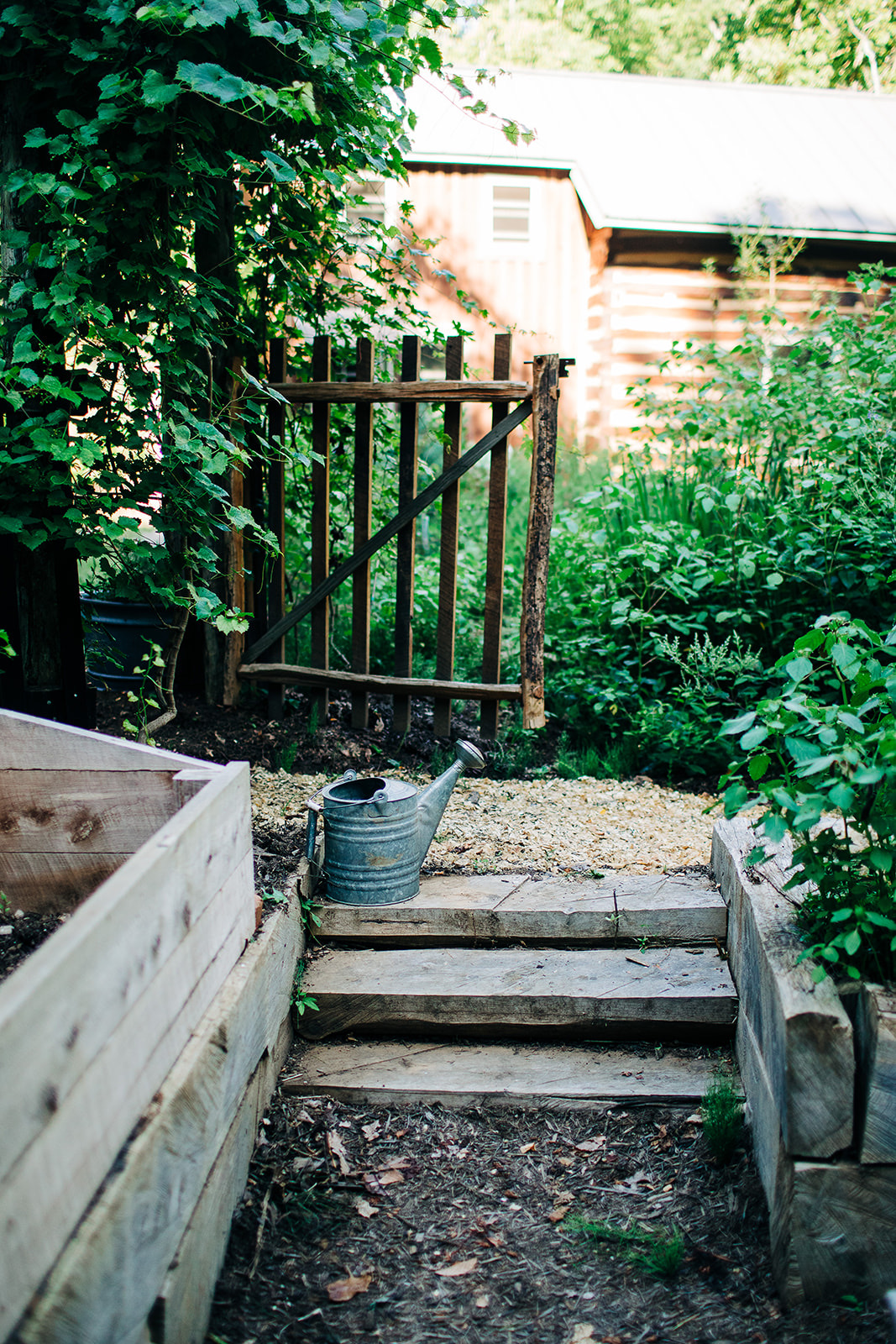 raised bed gardens