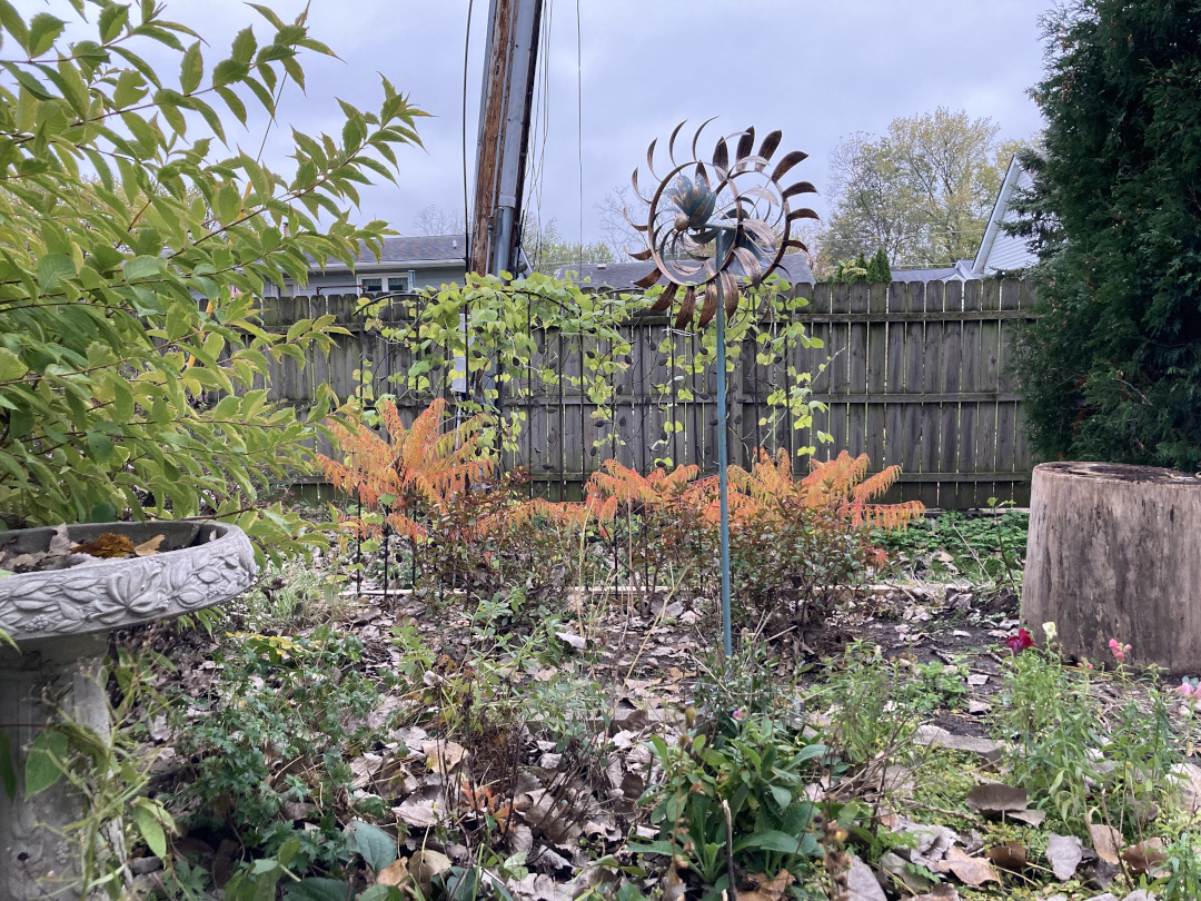 The wild back corner, with sumac brightening it up.