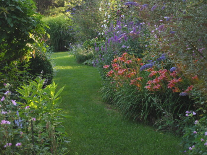 grass pathway with blooming flowers