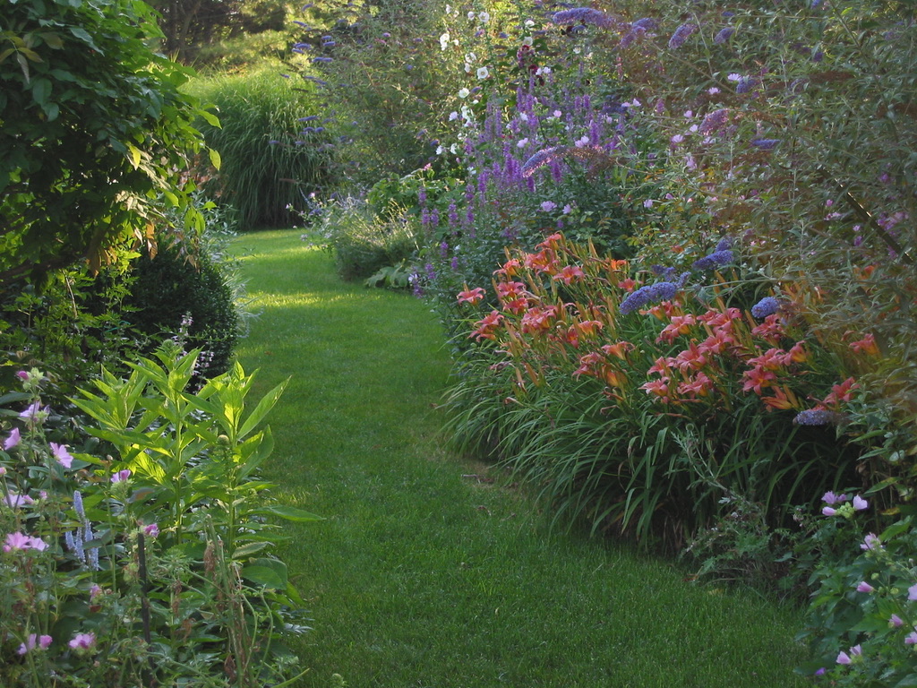 blooming perennials and shrubs