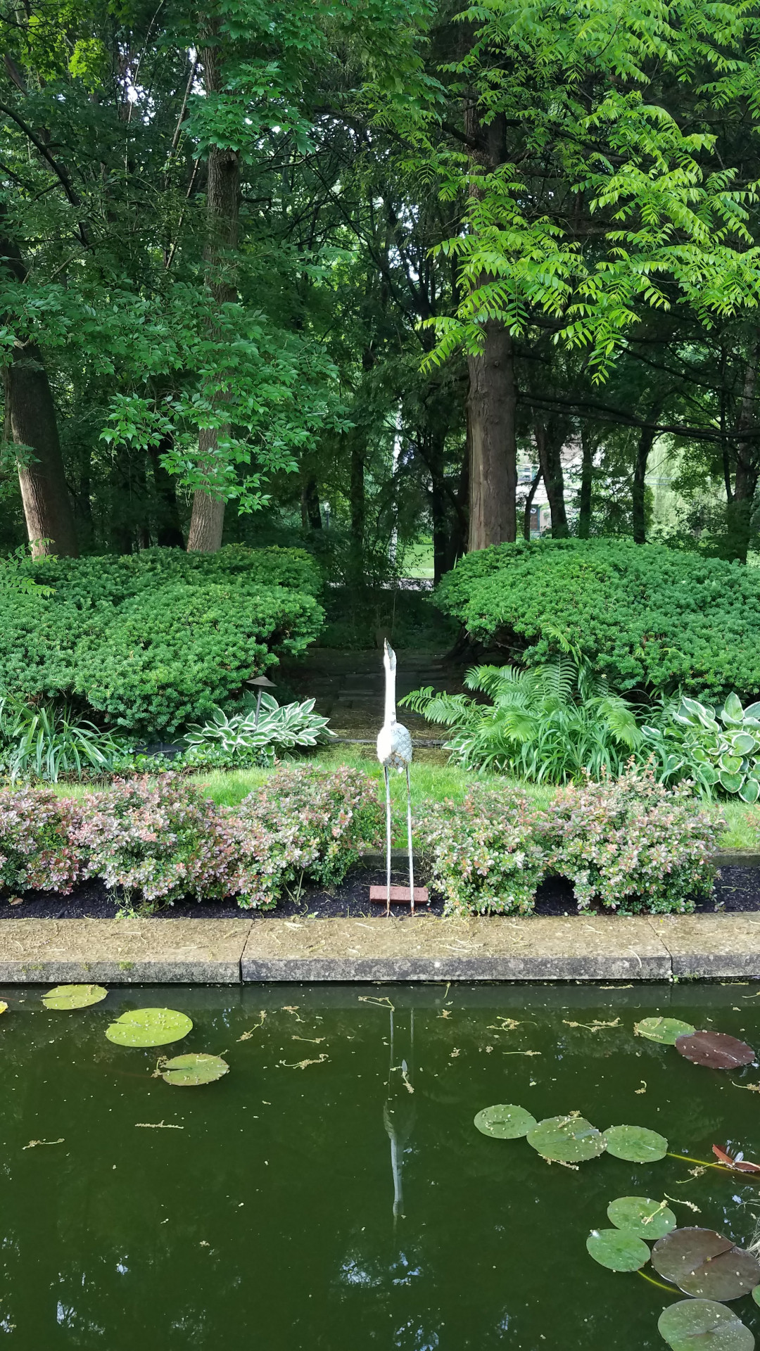 garden walk behind pond