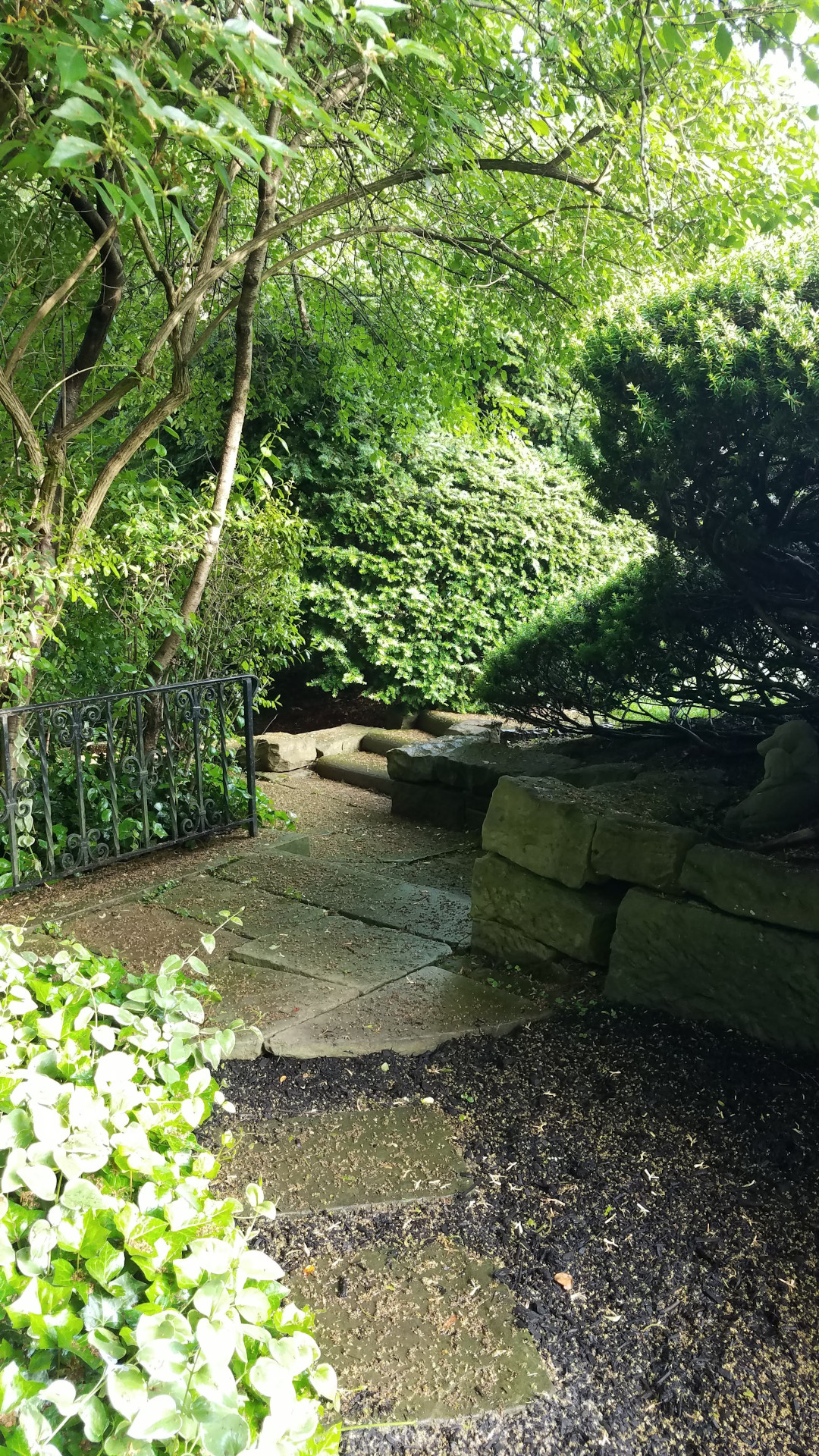 shrubs surround stone pathway