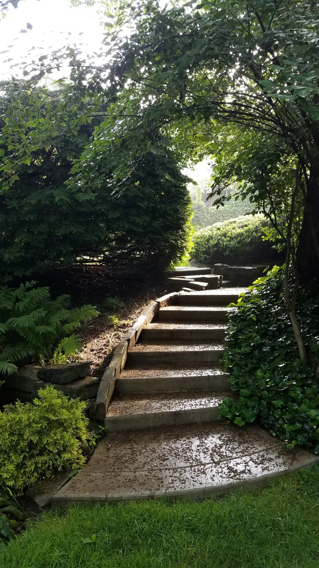 steps leading into garden