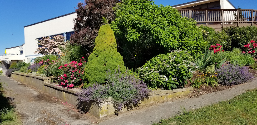 Southeast Corner of the garden