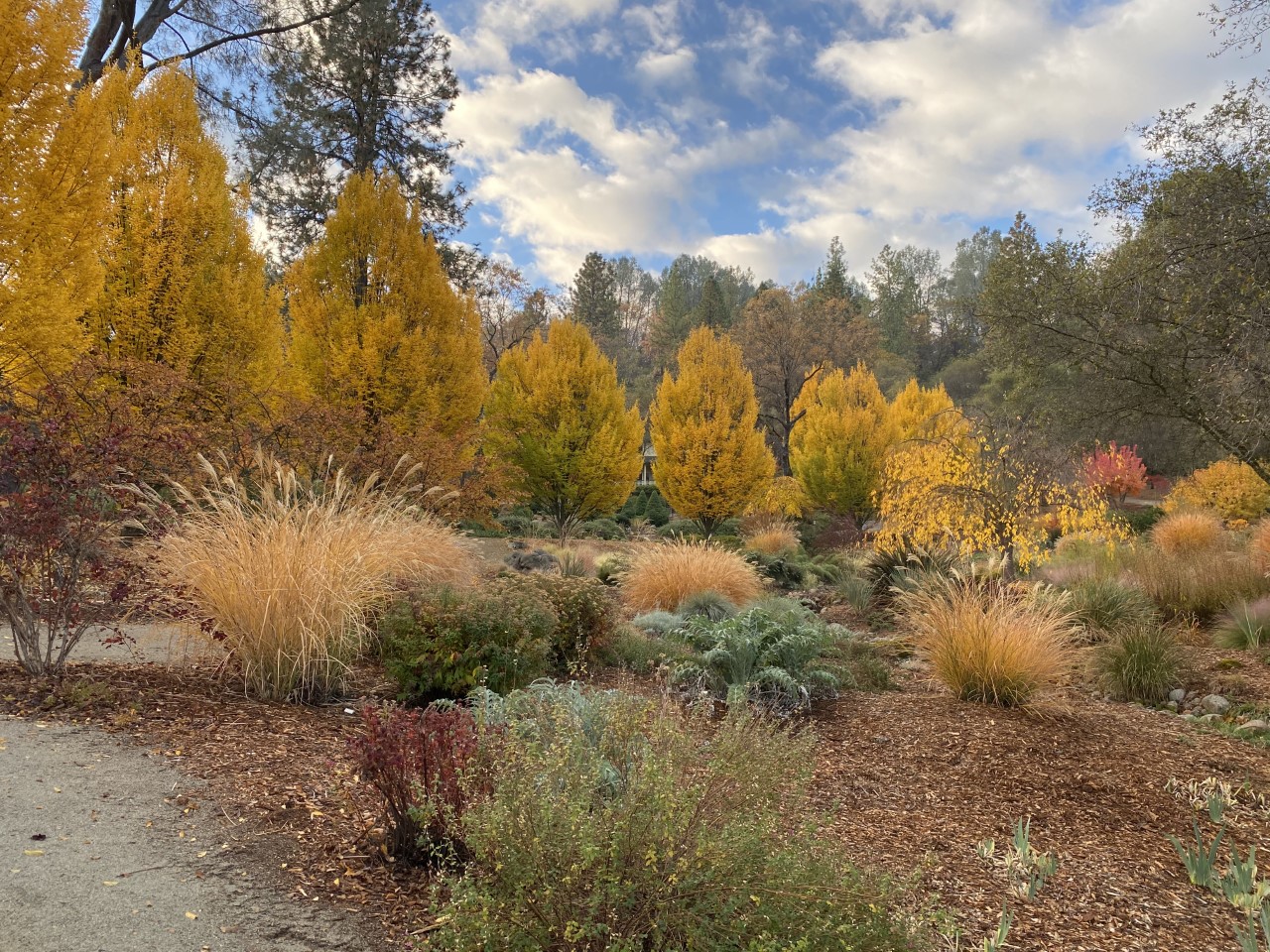 Beautiful view of this garden in the fall