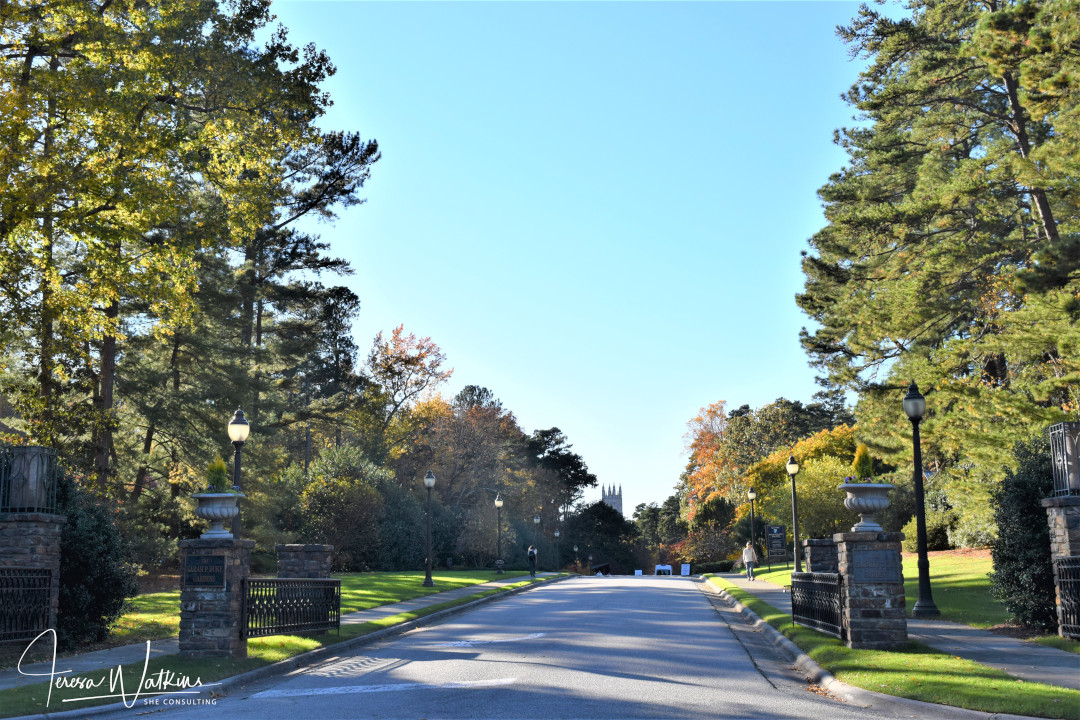 entrance to the gardens