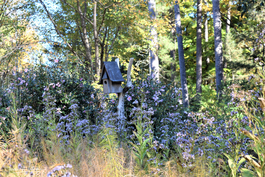 A perennial planting with a rustic birdhouse.