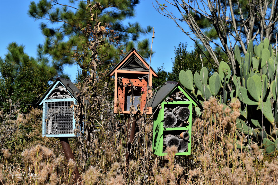 Birdhouses