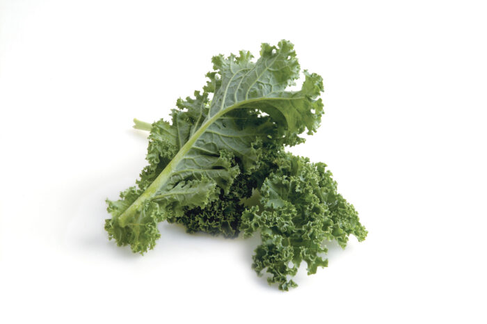 The Ultimate Guide to Growing Kale - Creative Simple Living