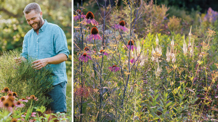 ecological gardening