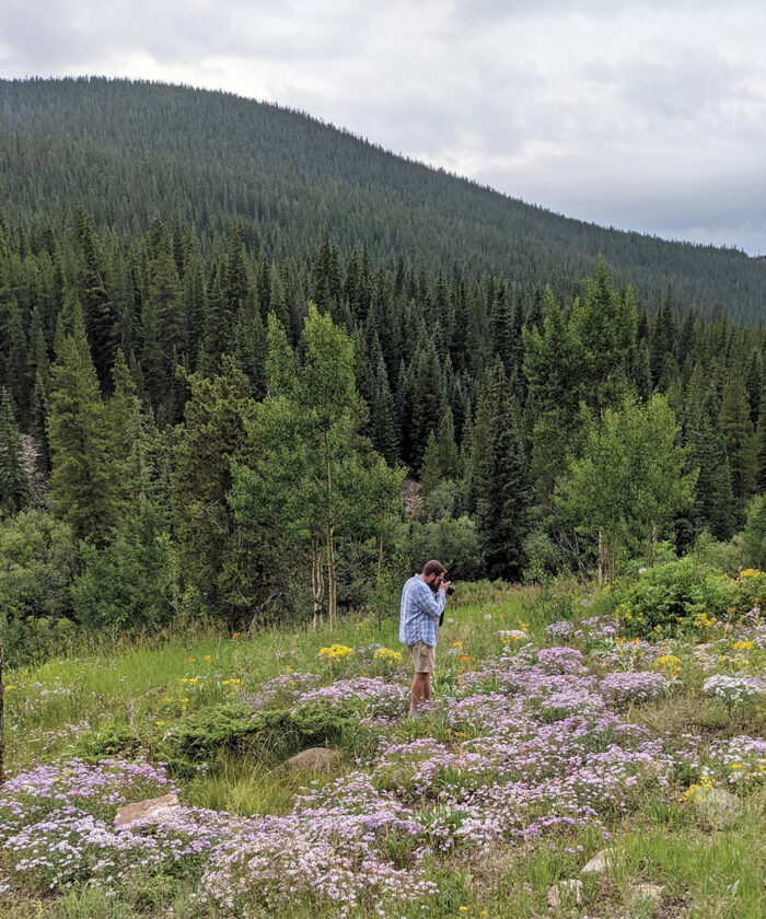 plant combinations in the wild