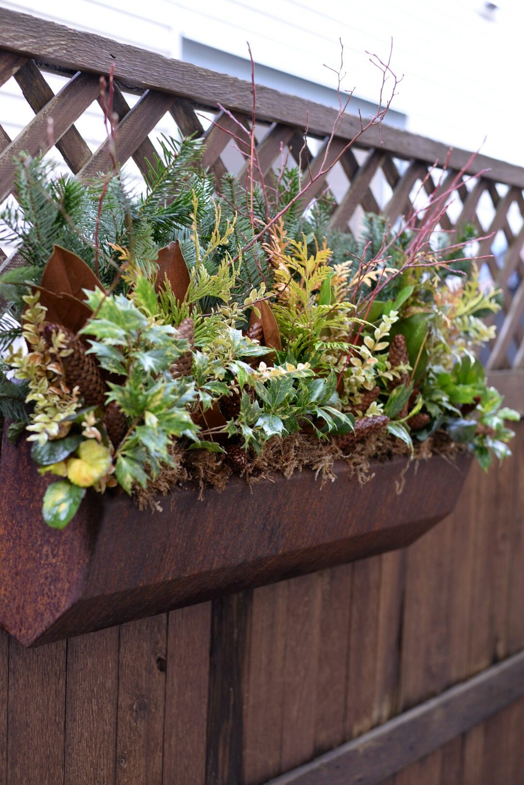 window box arrangement