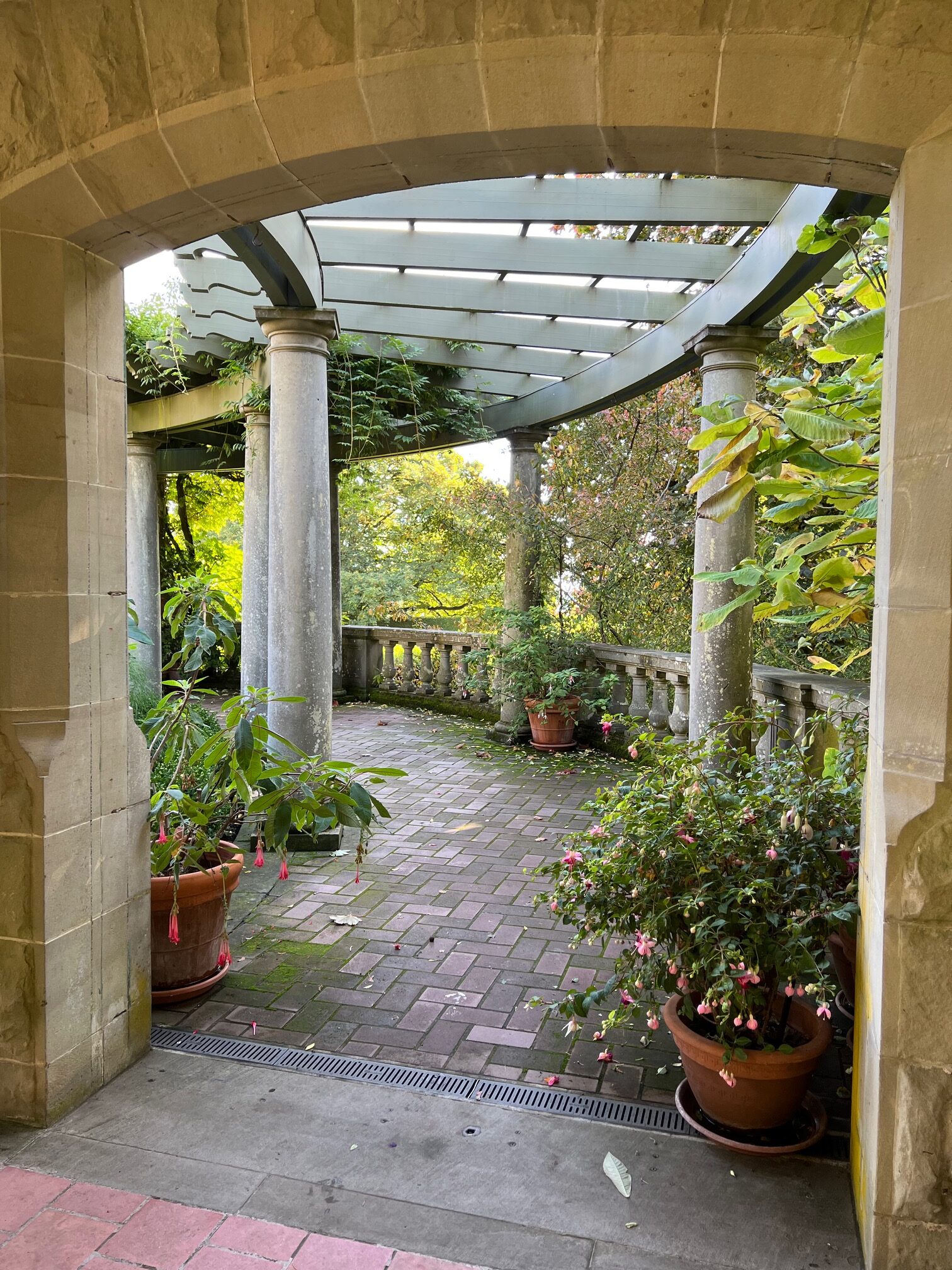 potted plants near the arch ways 