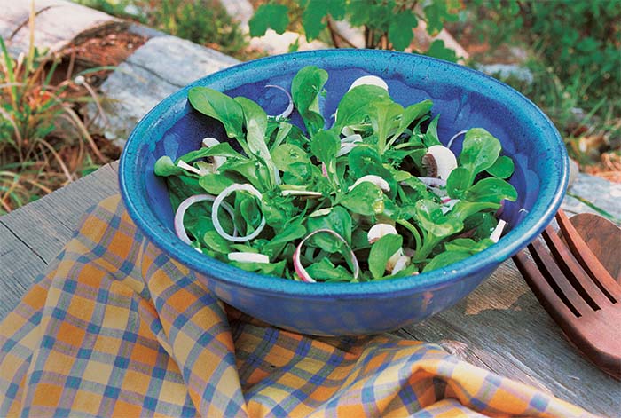 green mache in a bowl after harvest