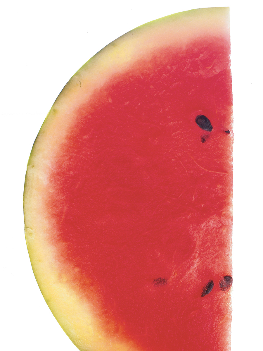 watermelon slice