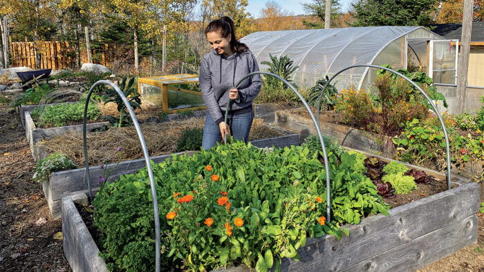 mini hoop tunnels