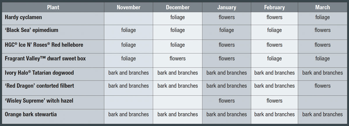 Winter interest planning from November through March chart