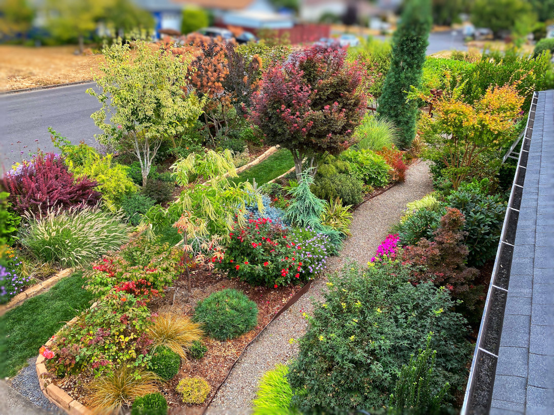 view of our front garden from the roof