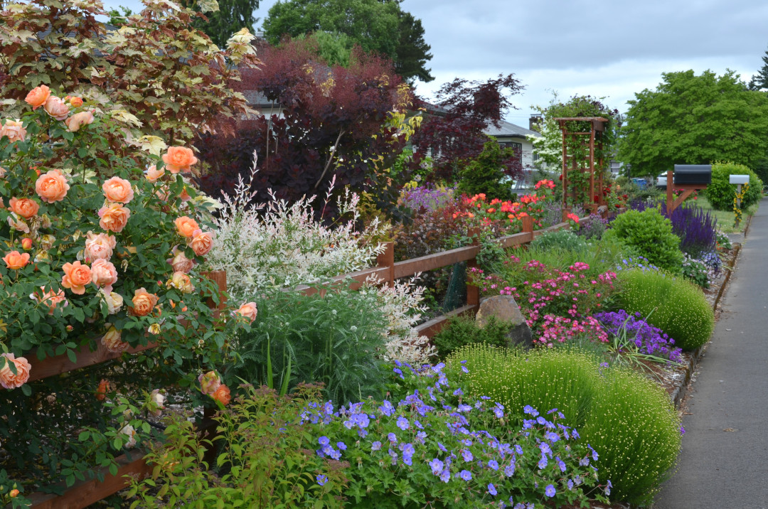 garden view with a fence built around the garden