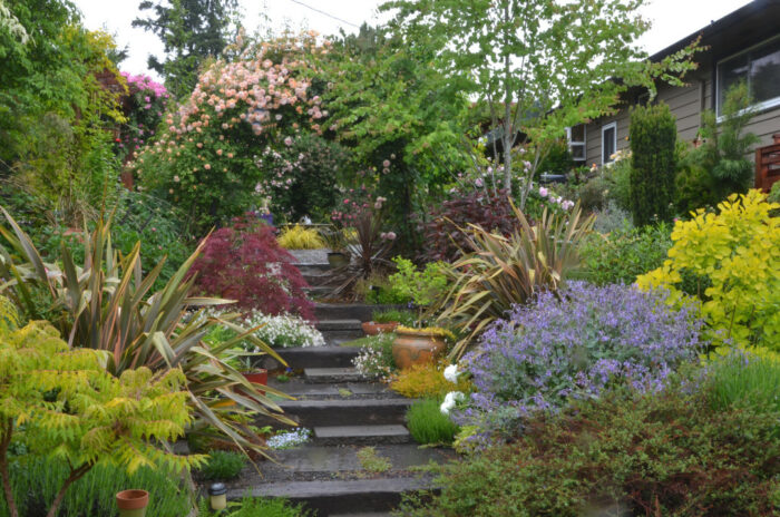 steps into the garden