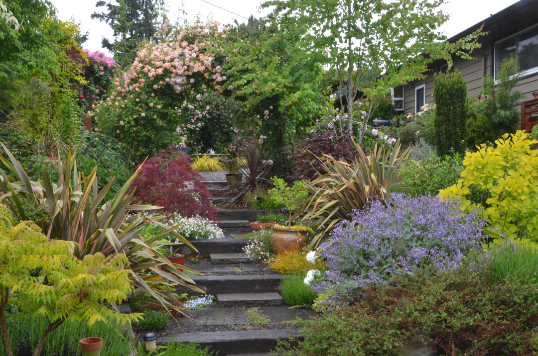 back garden on a slope