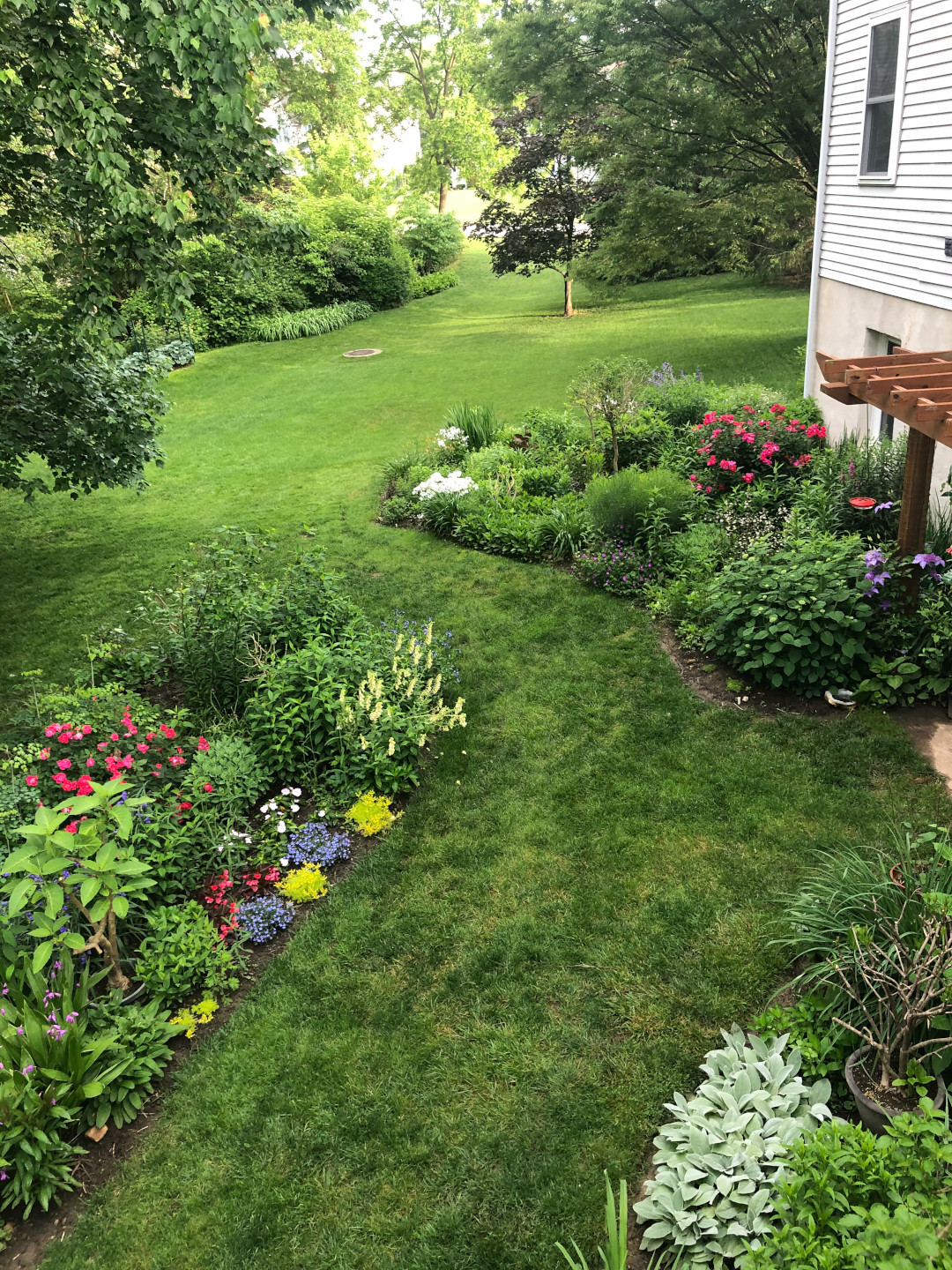 view of garden beds from above