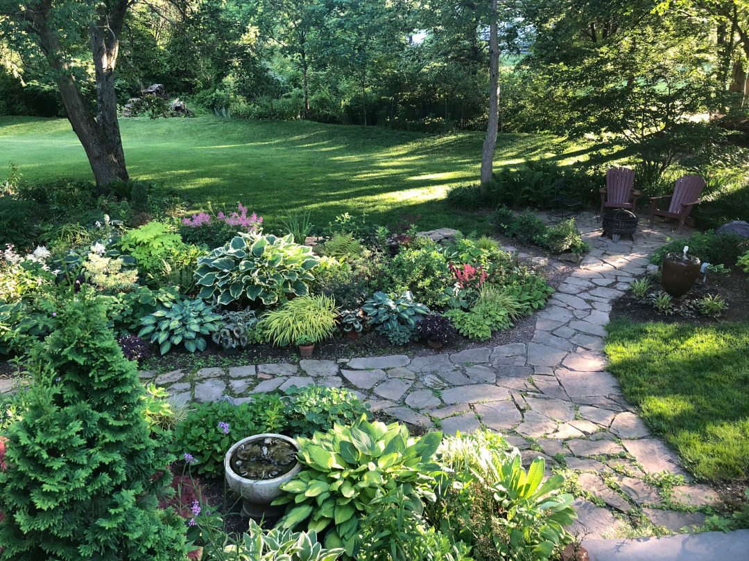 Wide view of the shade garden.