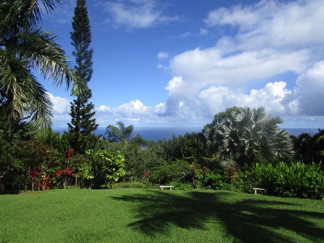 beautiful garden view