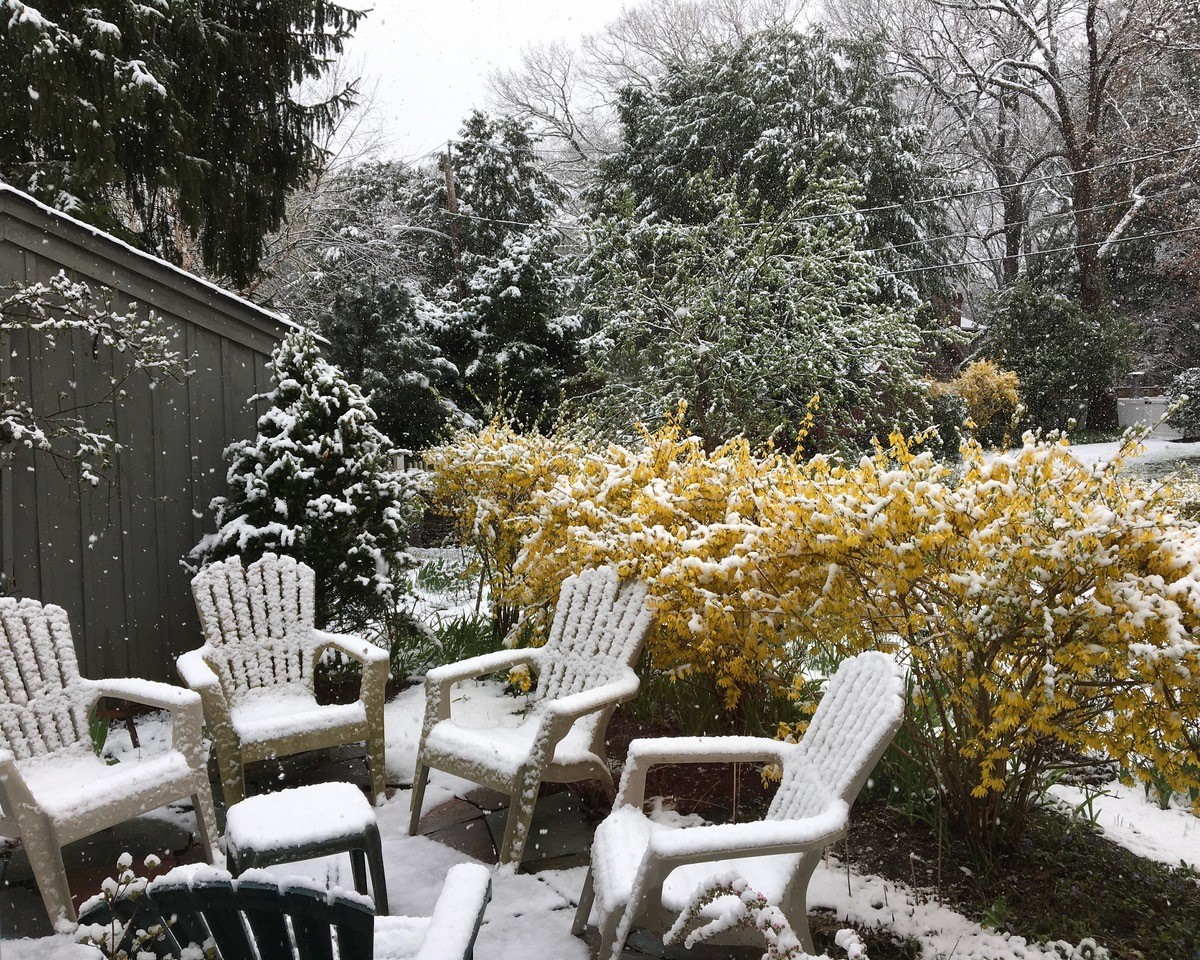 snow covering lounge chairs