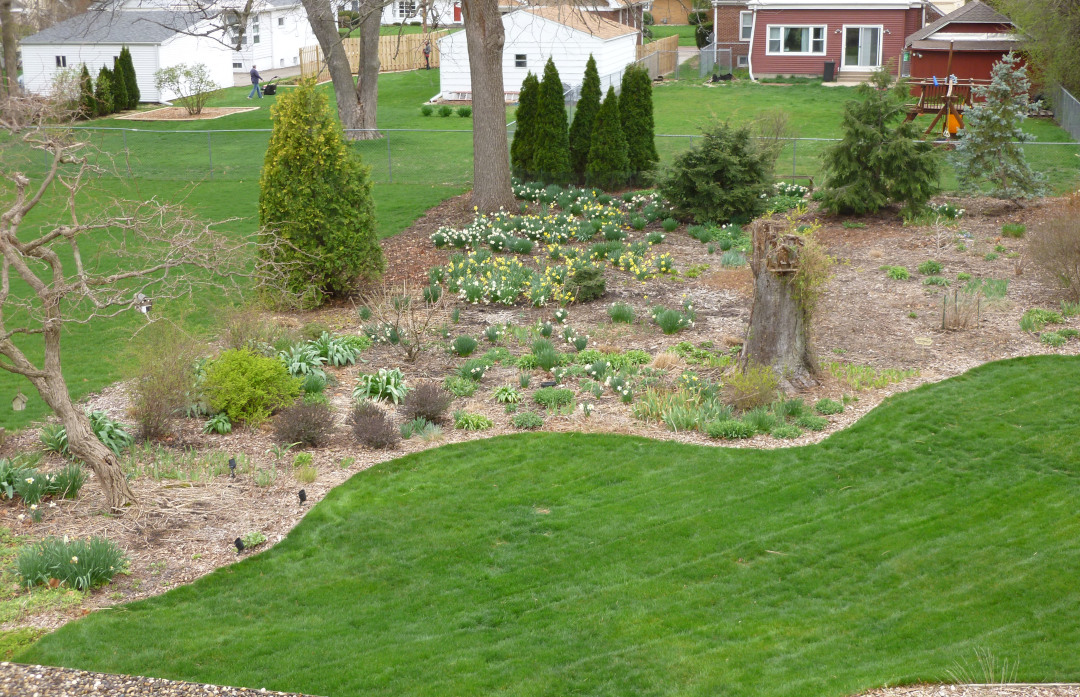 View of the spring garden from above.