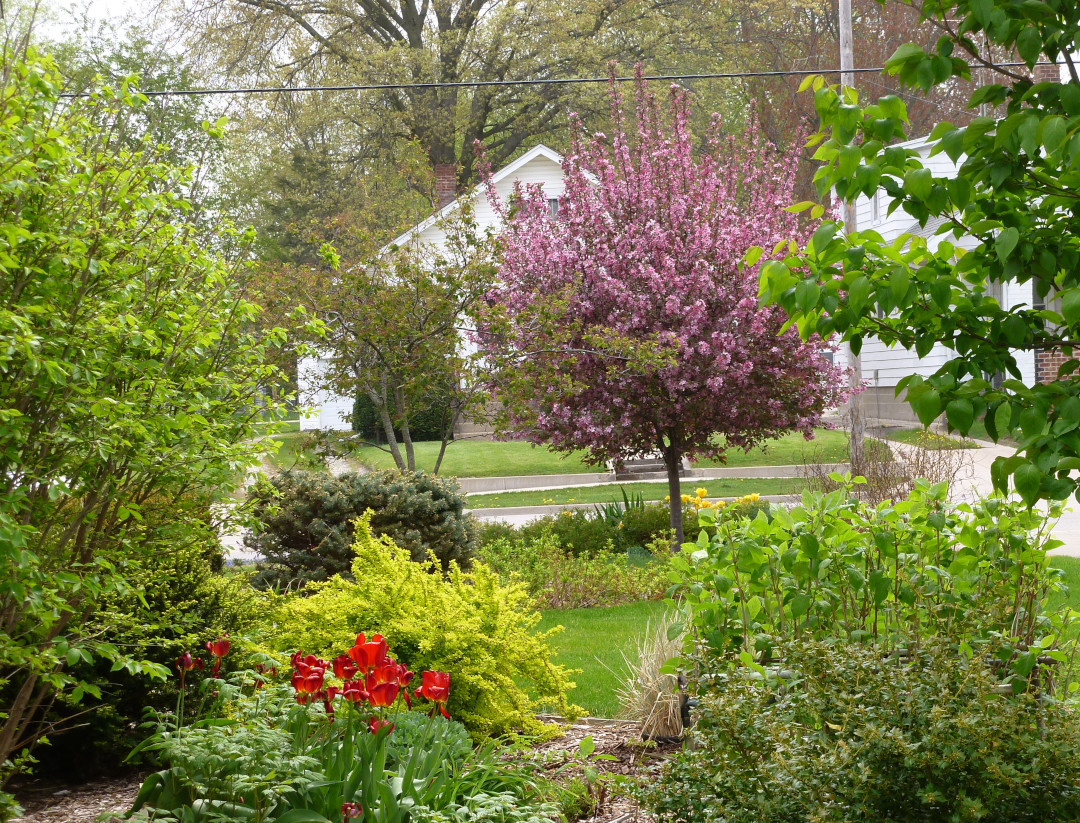 full green garden