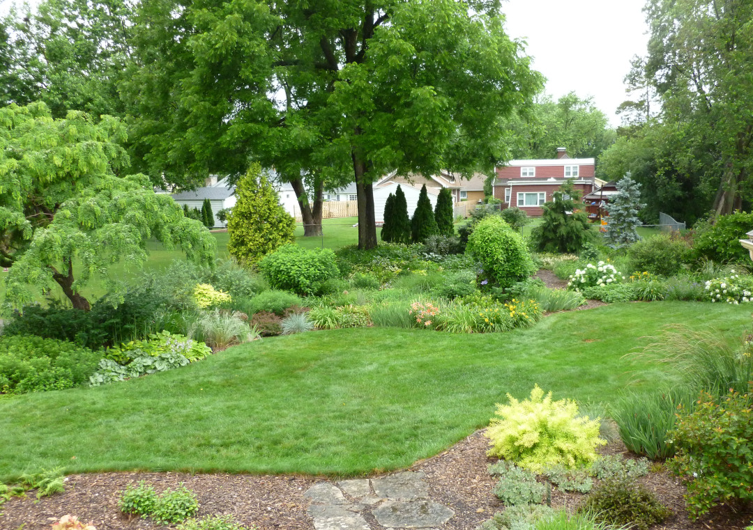 Wide view of the garden in peak summer growth.