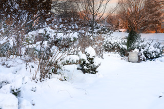 front garden looking to the west