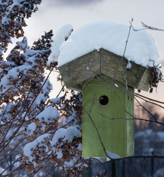 birdhouse