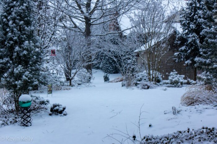 snow covered garden